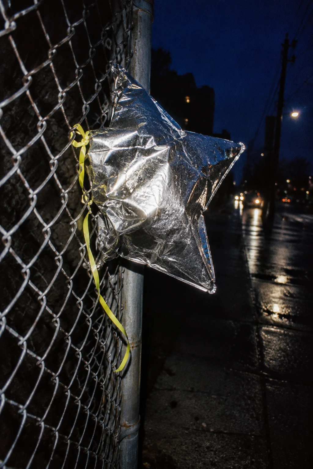 Flash Fence